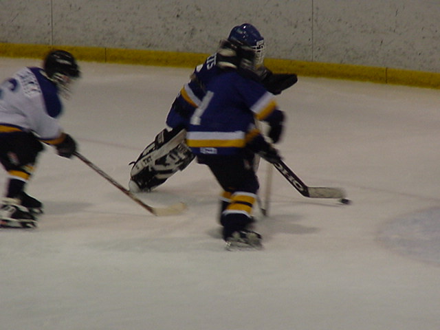 clear the net.jpg (49337 bytes)