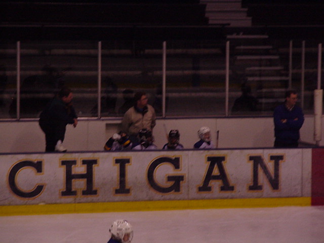 coaches extradinaire.jpg (52452 bytes)