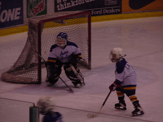 defense ready.jpg (61710 bytes)